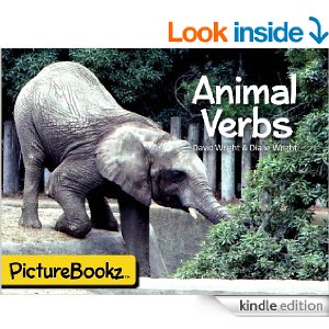 animal-verbs