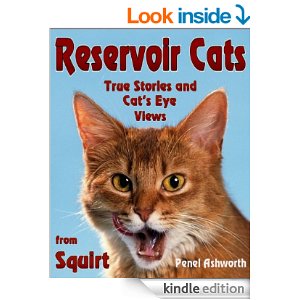 reservoir-cats