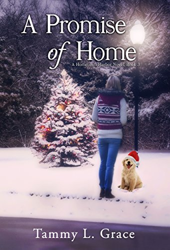 A Promise Of Home: A Hometown Harbor Novel (Book 3)