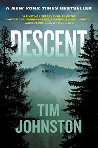 Descent: A Novel