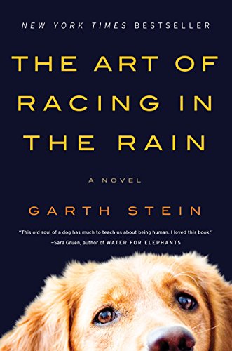 The Art of Racing in the Rain