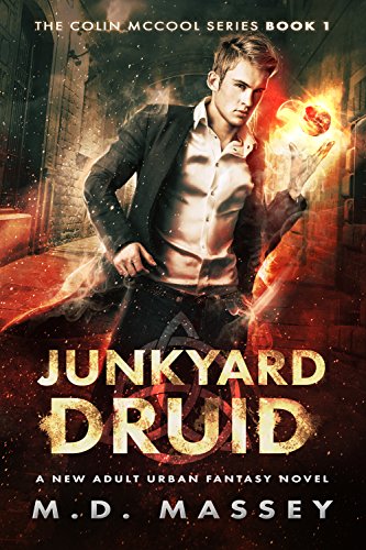 Junkyard Druid