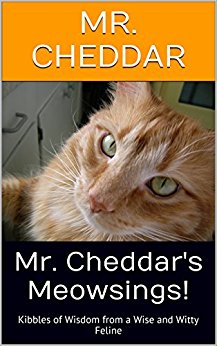 Free: Mr. Cheddar’s Meowsings! Kibbles of Wisdom from a Wise and Witty Feline