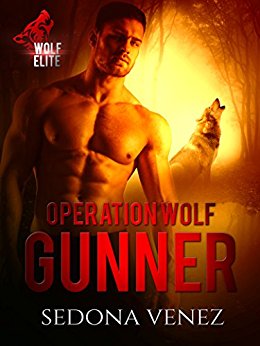 Operation Wolf: Gunner