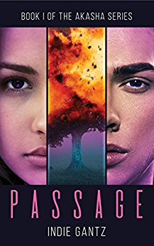 Passage: Book I of The Akasha Series