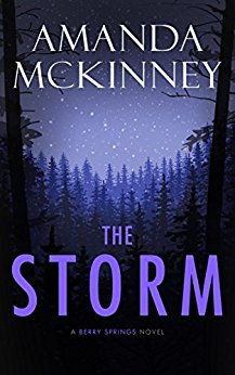 The Storm: A Berry Springs Novel