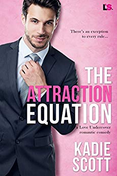 The Attraction Equation