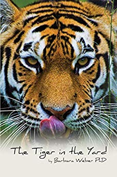 Free: The Tiger in the Yard
