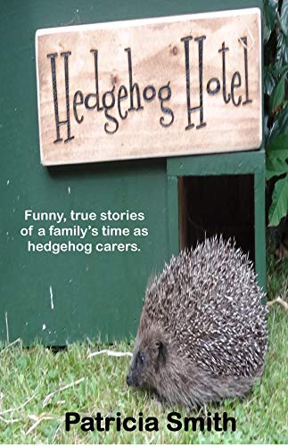 Hedgehog Hotel