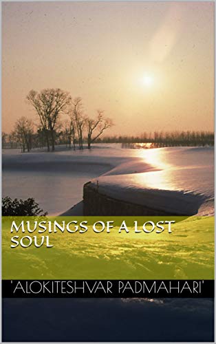 Musings of a Lost Soul