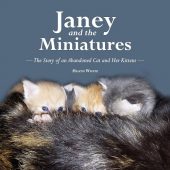 Free: Janey and the Miniatures