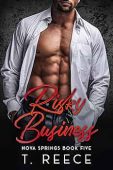 Risky Business: A Small Town Office Romance: Nova Springs Book 5