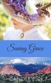 Free: Saving Grace: A Christian Contemporary Castle Romance (Within the Castle Gates Book 5)